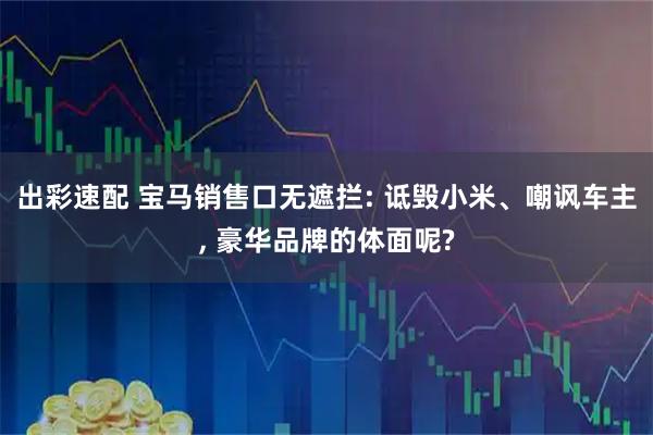 出彩速配 宝马销售口无遮拦: 诋毁小米、嘲讽车主, 豪华品牌的体面呢?