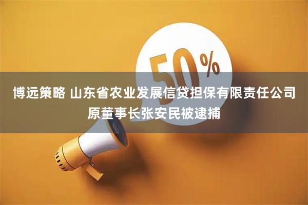 博远策略 山东省农业发展信贷担保有限责任公司原董事长张安民被逮捕
